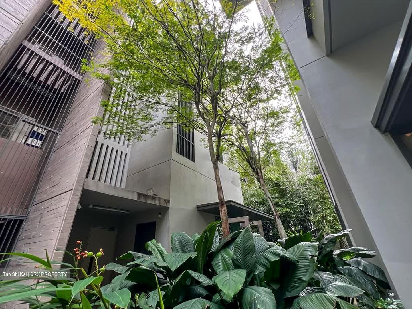 10 Evelyn (D11), Apartment #547330411